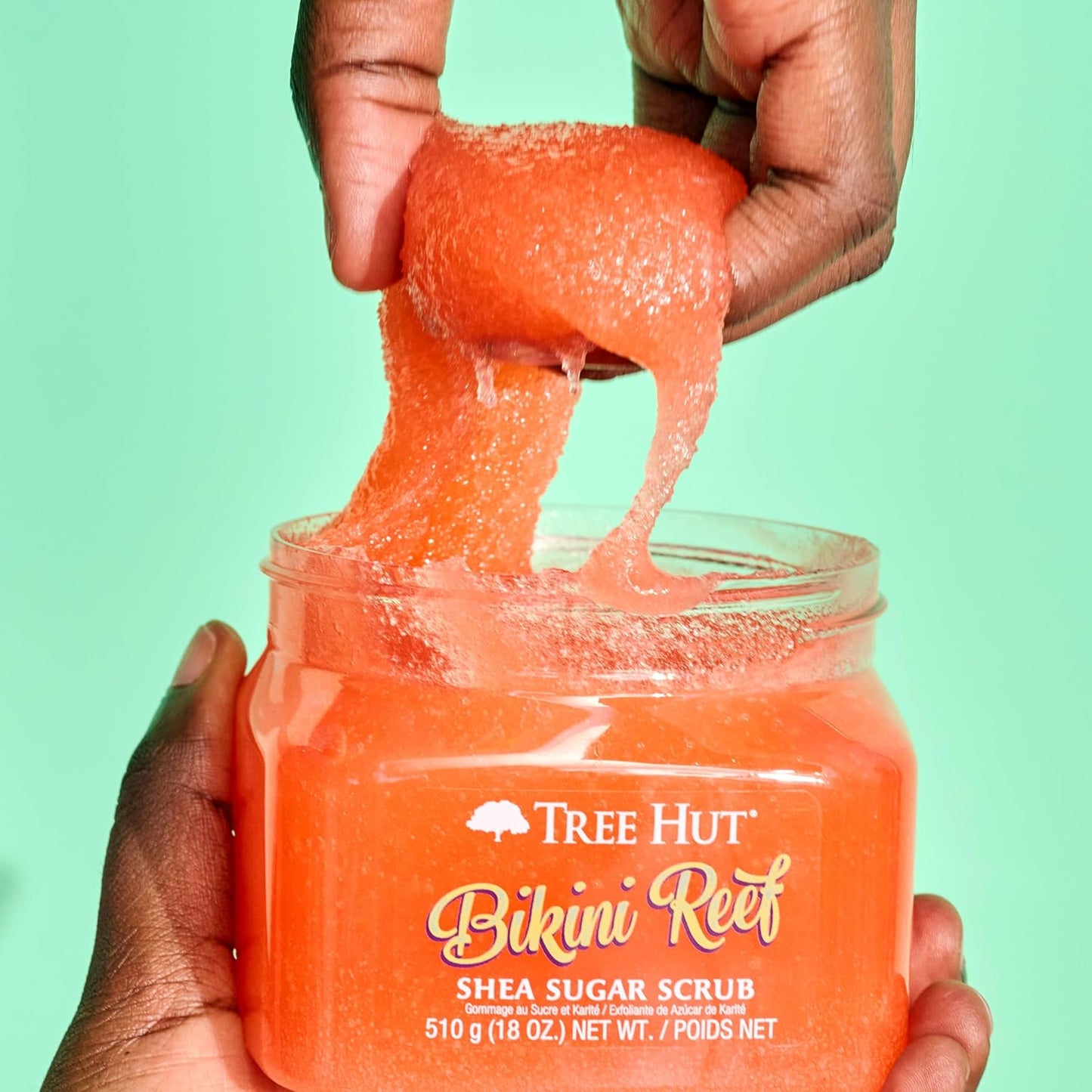 Bikini Reef Shea Sugar Scrub | Exfoliating Body Scrub Removes Dead, Dry Skin for a Soft & Hydrated Feel | Nourishing Essential Body Care | 18 Fl Oz.