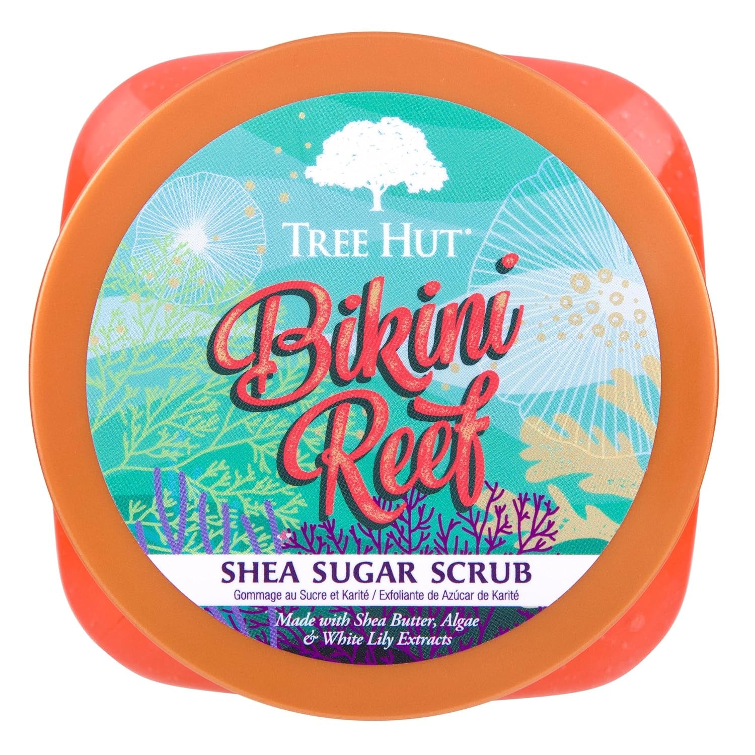 Bikini Reef Shea Sugar Scrub | Exfoliating Body Scrub Removes Dead, Dry Skin for a Soft & Hydrated Feel | Nourishing Essential Body Care | 18 Fl Oz.