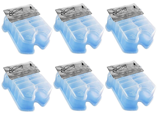 Refill Cartridges for Braun Clean & Renew CCR (6-Pack)