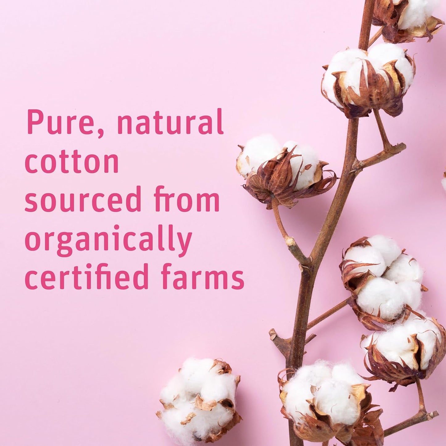 Simply Soft Premium Organic Cotton Balls, 600 Count (3 Bags) 100% Pure Cotton, Certified Organic, Hypoallergenic, Large, Soft & Absorbent for Beauty, Cosmetics, Skin Care, Lint Free